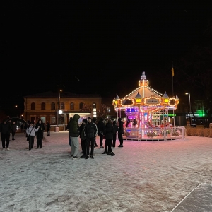 Детская карусель Paradise Carrousel