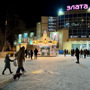 Детская карусель Paradise Carrousel